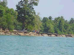 Fossil Shell Beach